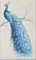 Peacock - hand painted wallpaper on silk, Chinoiserie wallpaper