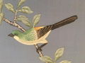 Chinoiserie hand painted wallpaper on sky blue silk, Chinoiserie wallpaper