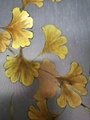 Ginkgo leaves hand painted wallpaper on silk, Chinoiserie silk wallpaper
