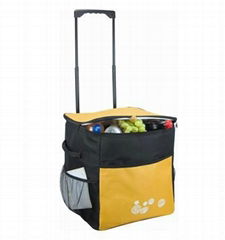 New design cooler bag with wheels