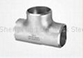 stainless steel fittings 1