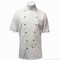 Chef Coat in Midweight w/ Short Sleeves,chef clothes/chef wear/chef uniform 1