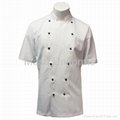 Chef Coat in Midweight w/ Short Sleeves,chef clothes/chef wear/chef uniform