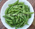 Frozen cooked edamame (soybean)