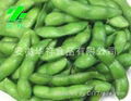 Frozen cooked soybean 1