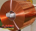 Oxygen Free Copper Strip C10100 1