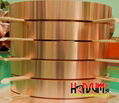 Copper Strip C1020 (Oxygen free) 1