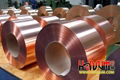 Copper Strip C1100 (ETP) 1