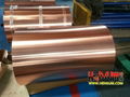 Copper Strip C1220 (DHP)
