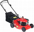 lawn mower 19 inch deck 5.5HP    