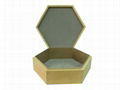 Hexagon Wood Box 1