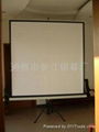 Manual projection screen 4