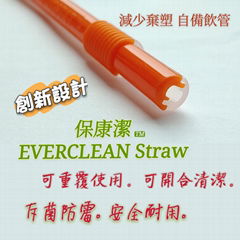 Reusable Antimicrobial Drinking Straw (Hot Product - 1*)