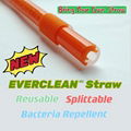 PFAS-free ! EVERCLEAN Reusable Antimicrobial Dingking Straw