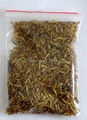  pet food(asepsis dried flymaggot pupa)