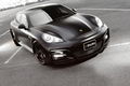 09 ` porsche panamera wald design fiber glass bodykit  7