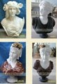 MARBLE CARVING-LADY BUST