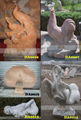 大理石雕刻-动物雕刻