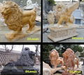 MARBLE CARVING-ANIMAL SERIES-LION