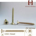 POZI countersunk head galvanized chipboard screws--decoration screws 1