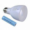 LED应急灯手电筒 Rechargeable led emergency bulb LED Torch light Sw 5