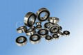 water-sealed bearing