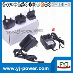 Interchangeable plug battery charger