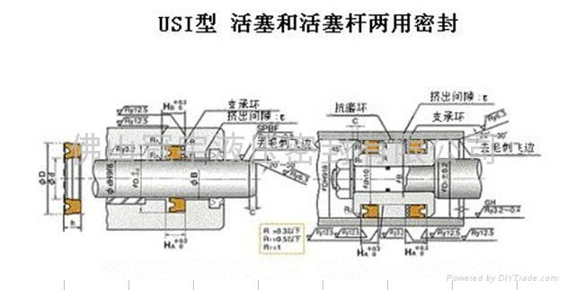 进口日本NOK-USI孔轴两用油缸密封圈 3