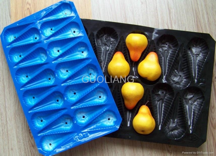 Perforated PP Fruit Tray For Pear