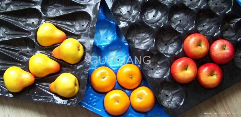 Perforated PP Fruit Tray For Pear 2