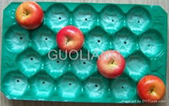  Eco-friendly PP Fruit Packaging Tray for Apple
