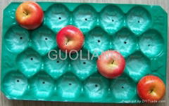 Eco-friendly PP Fruit Packaging Tray for Apple