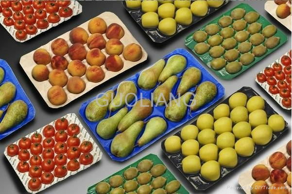  Eco-friendly PP Fruit Packaging Tray for Apple 3