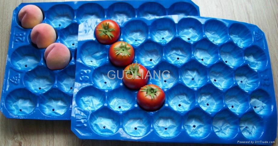 Eco-fiiendly PP Plastic Protecting Tray for Tomato and Peach