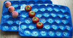 Eco-fiiendly PP Plastic Protecting Tray