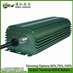 250-1000W MH&HPS digital ballasts