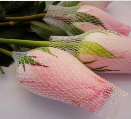 White PE Extruded Rose protection Bud Net 3