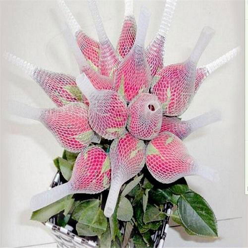 White Extruded Rose Protection Bud Net，PE Protective Mesh Net for Rose