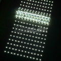 Backlight Lightbox DC12V/24V Grid