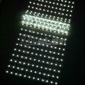 Backlight Lightbox DC12V/24V Grid LED-Flexible led lattice