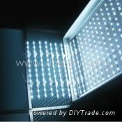 Xinelam Low cost LED ladder Light for lightbox 2