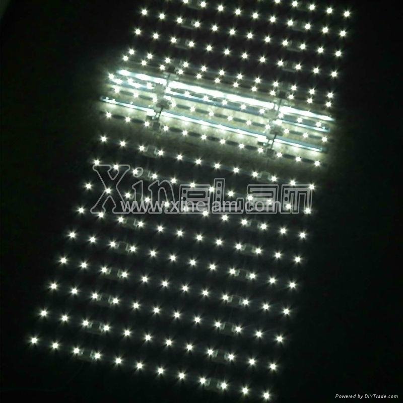 Xinelam Low cost LED ladder Light for lightbox 3