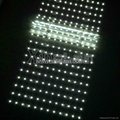 Xinelam Low cost LED ladder Light for lightbox