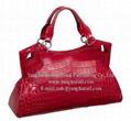 YFBF1001 Fashion leather bag 4