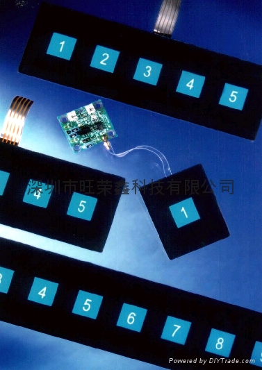 EL luminescence Membrane switch 5