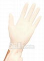 100% Latex Premium Exam Examination Gloves - Powder Free