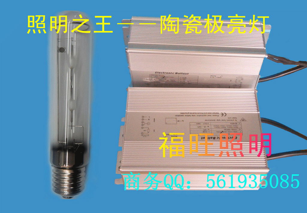 Ceramic Metal Halide