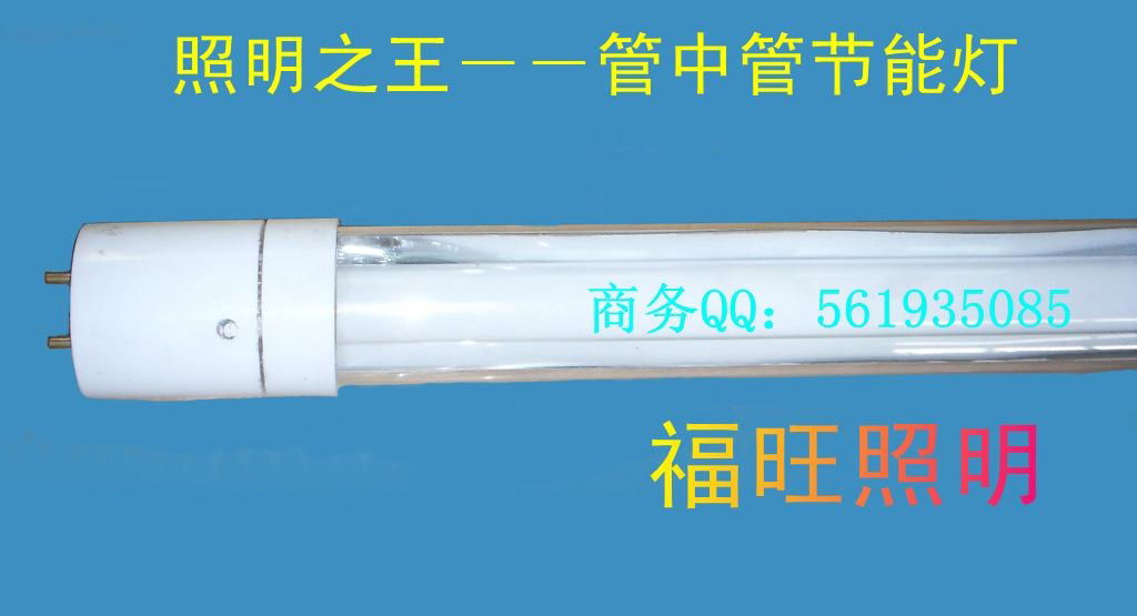 Energy-saving T5 Fluorescent Lamp 2