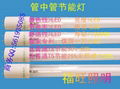 Energy-saving T5 Fluorescent Lamp 3