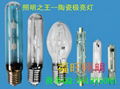 250w Single Ended Ceramic Metal Halide